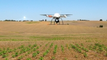 Agricultura inteligenta: Dronele agricole transforma agricultura traditionala